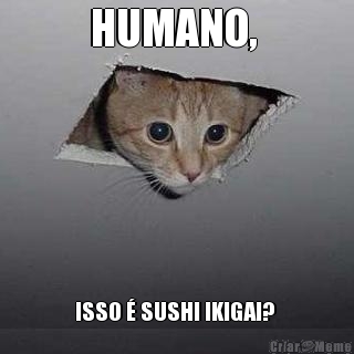 HUMANO,  ISSO � SUSHI IKIGAI? 