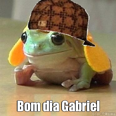  Bom dia Gabriel