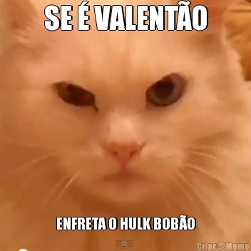 SE � VALENT�O ENFRETA O HULK BOB�O