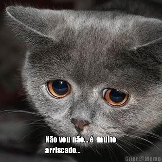  N�o vou n�o... �  muito
arriscado...