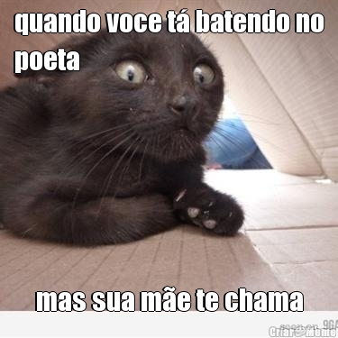 quando voce t� batendo no
poeta mas sua m�e te chama
