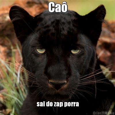 Ca� sai do zap porra
