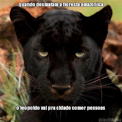 quando desmatam a floresta amazonica o leopoldo vai pra cidade comer pessoas