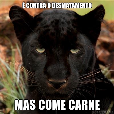 � CONTRA O DESMATAMENTO MAS COME CARNE