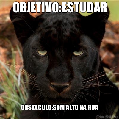 OBJETIVO:ESTUDAR OBST�CULO:SOM ALTO NA RUA