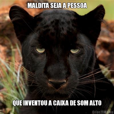 MALDITA SEJA A PESSOA QUE INVENTOU A CAIXA DE SOM ALTO