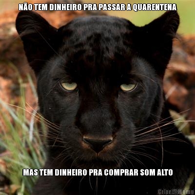 N�O TEM DINHEIRO PRA PASSAR A QUARENTENA MAS TEM DINHEIRO PRA COMPRAR SOM ALTO