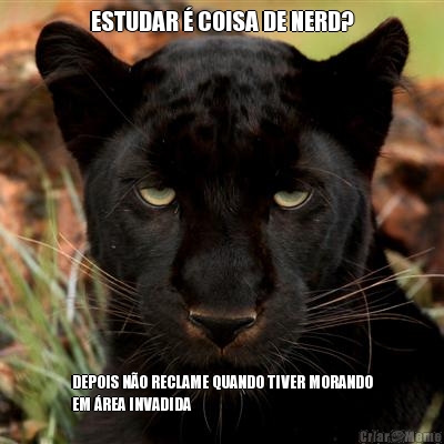 ESTUDAR � COISA DE NERD? DEPOIS N�O RECLAME QUANDO TIVER MORANDO
EM �REA INVADIDA