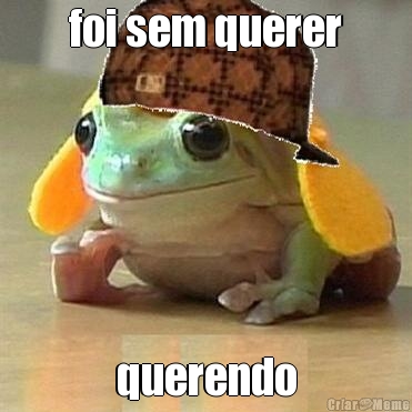 foi sem querer querendo