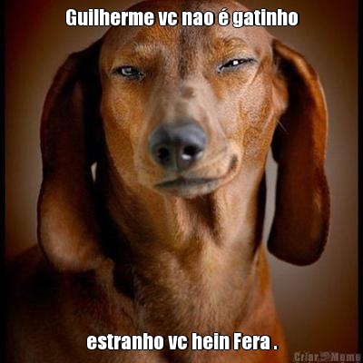 Guilherme vc nao � gatinho estranho vc hein Fera .