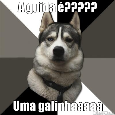 A guida �????? Uma galinhaaaaa