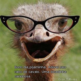  Bom dia,pijaminha. Adorei seu
rabo de cavalo. Uma bicadinha
carinhosa