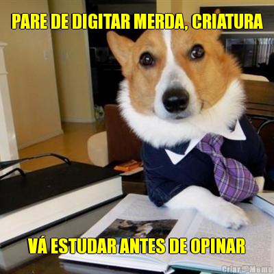 PARE DE DIGITAR MERDA, CRIATURA V� ESTUDAR ANTES DE OPINAR