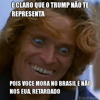 � CLARO QUE O TRUMP N�O TE
REPRESENTA POIS VOCE MORA NO BRASIL E N�O
NOS EUA, RETARDADO