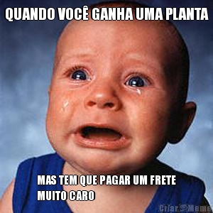 QUANDO VOC� GANHA UMA PLANTA MAS TEM QUE PAGAR UM FRETE
MUITO CARO