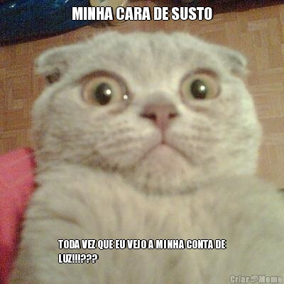 MINHA CARA DE SUSTO TODA VEZ QUE EU VEJO A MINHA CONTA DE
LUZ!!!???