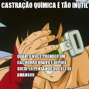 CASTRA��O QU�MICA � T�O IN�TIL QUANTO VOCE PRENDER UM
CACHORRO BRAVO E DEPOIS
SOLT�-LO PENSANDO QUE ELE SE
AMANSOU