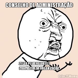 CONSELHO DE ADMINISTRA��O ZELAR PELOS VALORES E
PROP�SITOS DA ORGANIZA��O