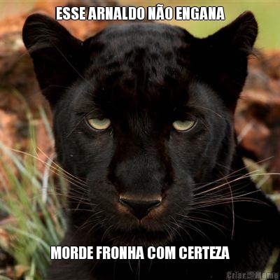 ESSE ARNALDO N�O ENGANA MORDE FRONHA COM CERTEZA