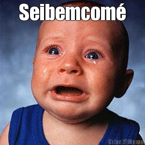 Seibemcom� 