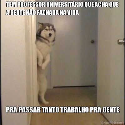 TEM PROFESSOR UNIVERSIT�RIO QUE ACHA QUE
A GENTE N�O FAZ NADA NA VIDA PRA PASSAR TANTO TRABALHO PRA GENTE