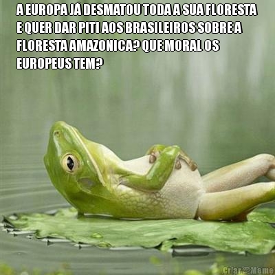 A EUROPA J� DESMATOU TODA A SUA FLORESTA
E QUER DAR PITI AOS BRASILEIROS SOBRE A
FLORESTA AMAZONICA? QUE MORAL OS
EUROPEUS TEM? 