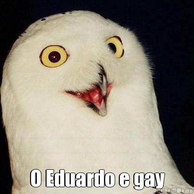  O Eduardo e gay
