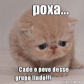        poxa...    Cad� o povo desse
grupo lindo!!!