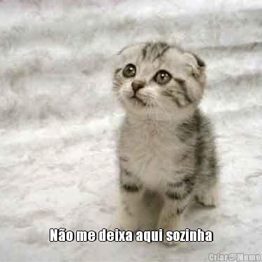  N�o me deixa aqui sozinha