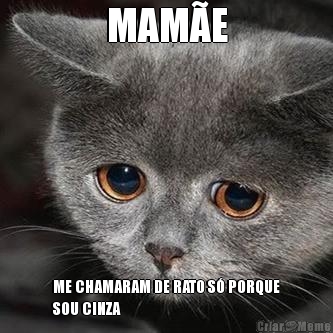 MAM�E ME CHAMARAM DE RATO S� PORQUE
SOU CINZA