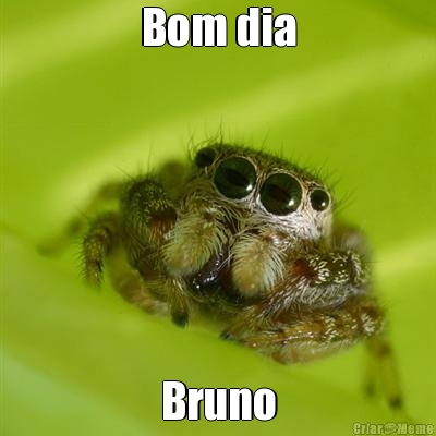 Bom dia Bruno