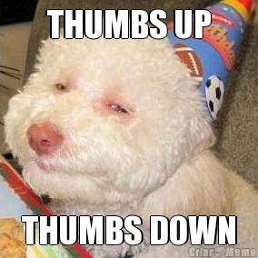 THUMBS UP THUMBS DOWN