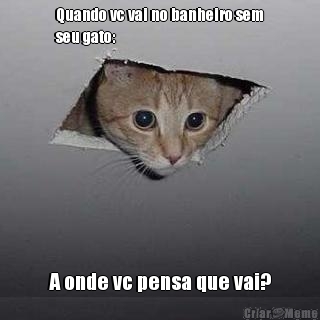 Quando vc vai no banheiro sem
seu gato: A onde vc pensa que vai?