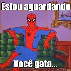 Estou aguardando Voc� gata...