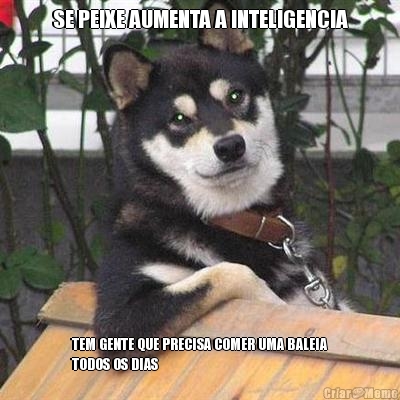 SE PEIXE AUMENTA A INTELIGENCIA TEM GENTE QUE PRECISA COMER UMA BALEIA
TODOS OS DIAS