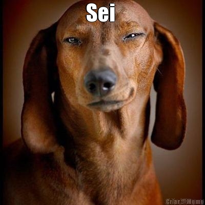 Sei 
 