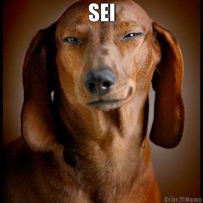 SEI 