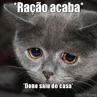 *Ra��o acaba* *Dono saiu de casa*
