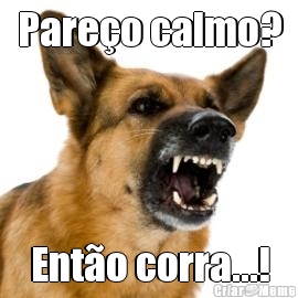 Pare�o calmo? Ent�o corra...!