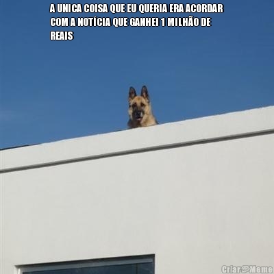 A UNICA COISA QUE EU QUERIA ERA ACORDAR
COM A NOT�CIA QUE GANHEI 1 MILH�O DE
REAIS 