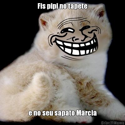 Fis pipi no tapete e no seu sapato Marcia