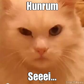 Hunrum Seeei...