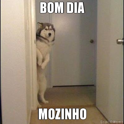 BOM DIA MOZINHO