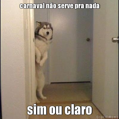 carnaval n�o serve pra nada sim ou claro