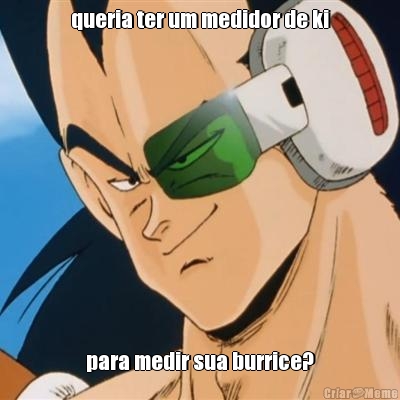 queria ter um medidor de ki para medir sua burrice?
