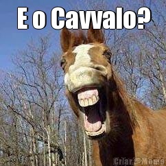 E o Cavvalo? 