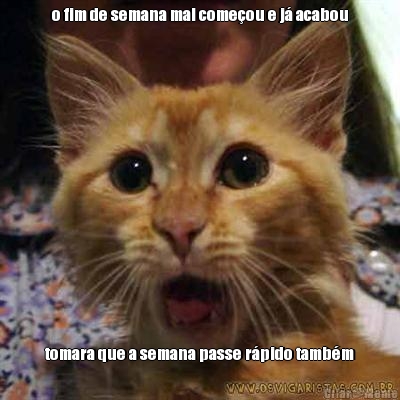 o fim de semana mal come�ou e j� acabou tomara que a semana passe r�pido tamb�m