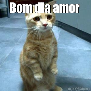 Bom dia amor  