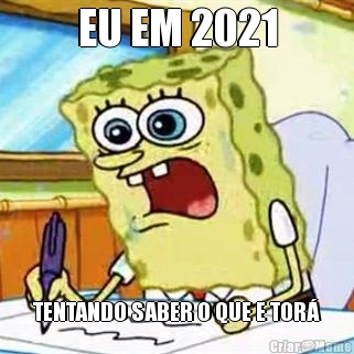 EU EM 2021 TENTANDO SABER O QUE E TOR�