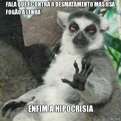 FALA QUE � CONTRA O DESMATAMENTO MAS USA
FOG�O A LENHA ENFIM A HIPOCRISIA